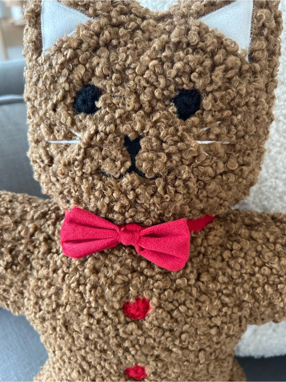 Pottery Barn Kitty Spice pillow